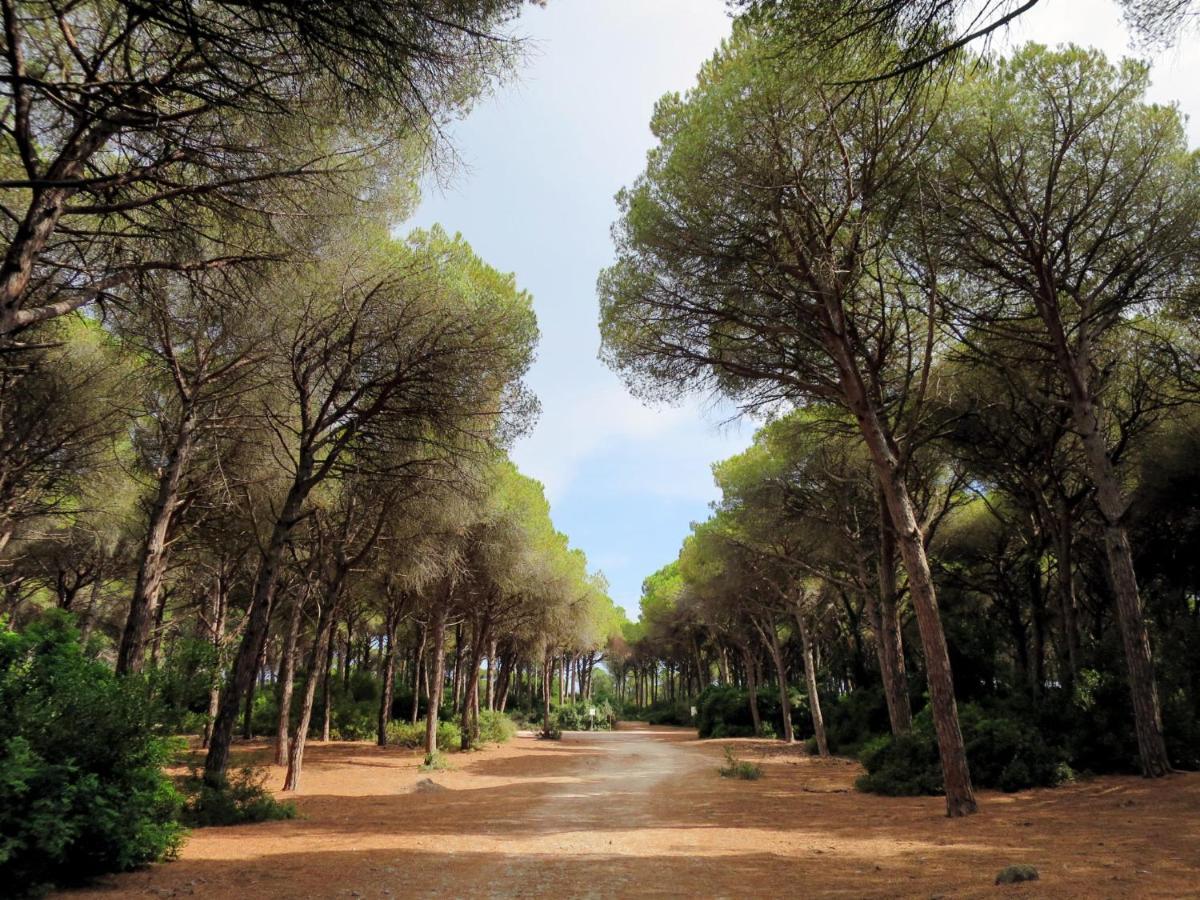 Holiday Home La Tordara By Interhome بورتو سانتو ستيفانو المظهر الخارجي الصورة